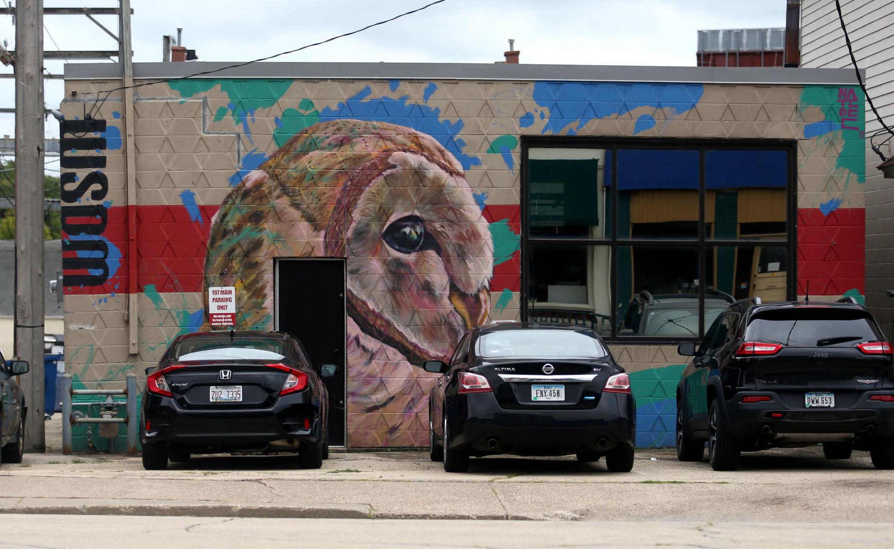 Murals Wisdom